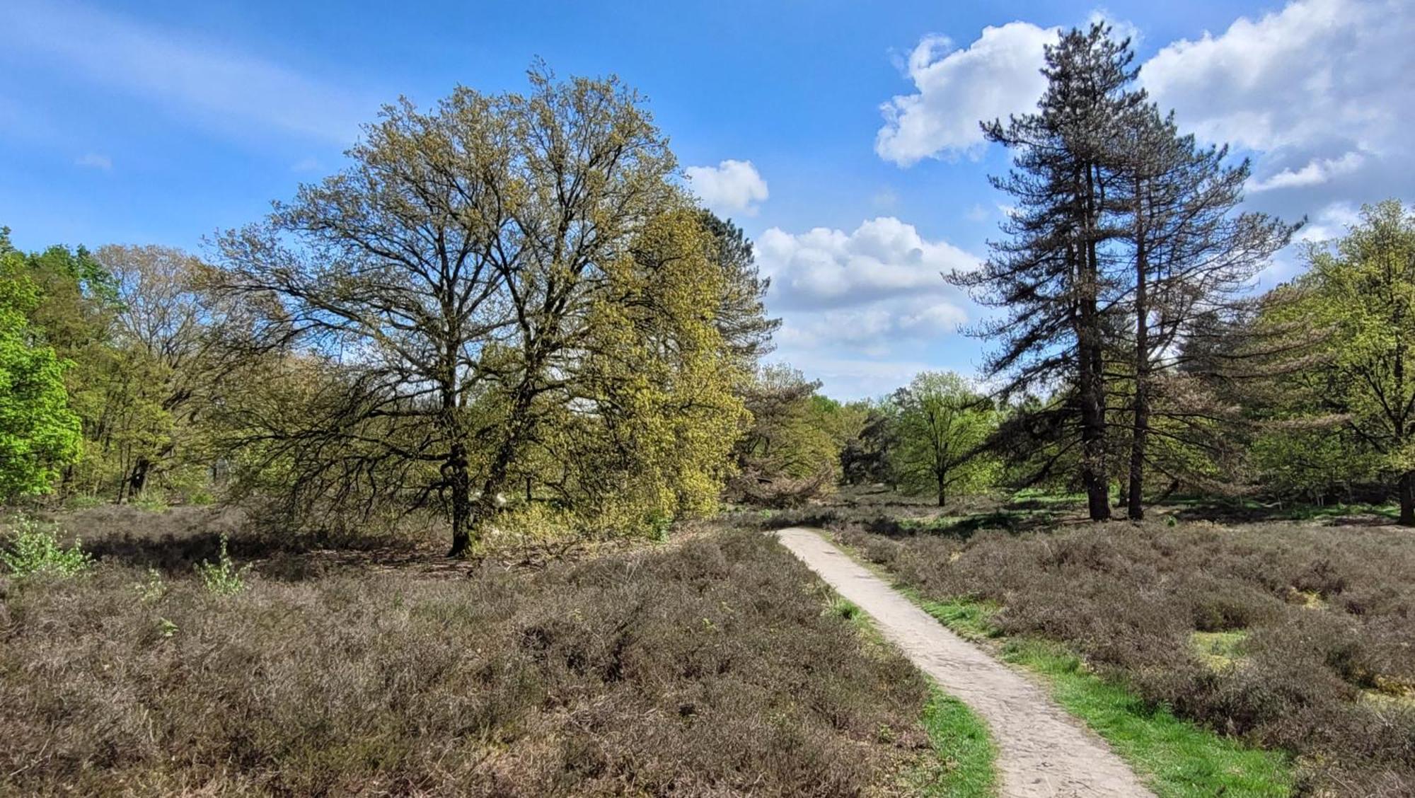 Bnb Overloon Exteriér fotografie